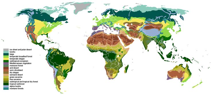 this is a world map that displays the different biomes of the earth. each biome is colorcoded, with a legend to the left that explains what each color represents. the biomes include: ice sheet and polar desert, tundra, taiga, temperate broadleaf forest, temperate steppe, subtropical evergreen, mediterranean vegetation, monsoon forest, desert, xeric shrubland, dry steppe, semiarid desert, grass savanna, tree savanna, subtropical and tropical dry forest, tropical rainforest, alpine tundra, and montane forests.