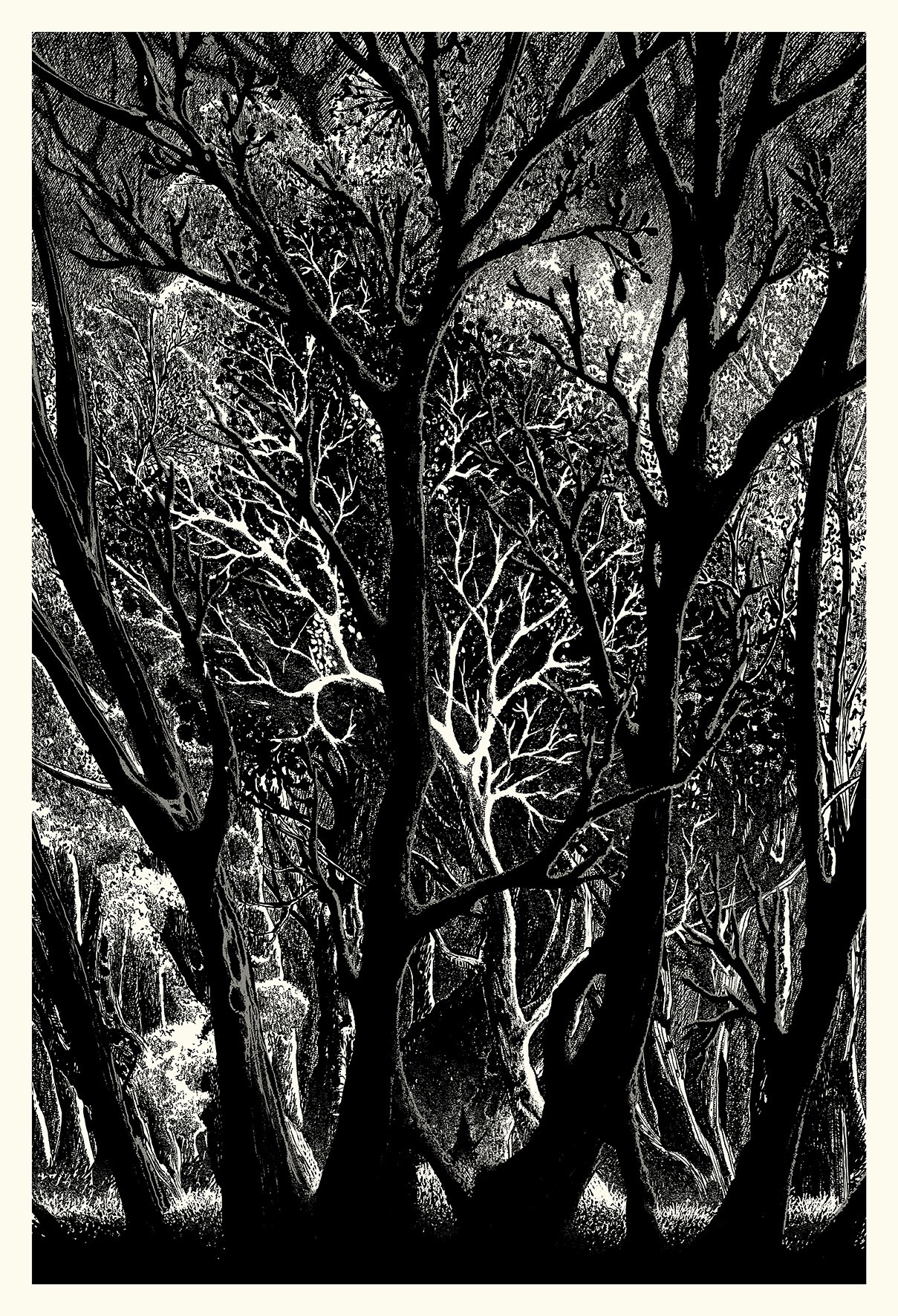 the image is a black and white illustration or print, possibly a woodcut, depicting a dense forest scene. the focus is on the intricate network of bare tree branches and trunks, creating a dark and somewhat mysterious atmosphere. the trees are stark against the lighter background, with fine details in the branches creating a textured effect. the overall style is graphic and detailed, with a high contrast between black and white. the scene evokes a sense of depth and density, giving the impression of being within a thick, shadowy woodland.