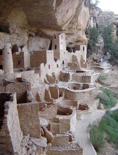 the image shows a wide view of the cliff palace, an ancient cliff dwelling site in mesa verde national park, colorado. the ruins are built into a large alcove in a sandstone cliff face. multiple structures, including towers, living quarters, and ceremonial kivas, are visible, constructed from sandstone blocks. a few ladders are present, indicating access to the different levels of the dwellings. some pottery is visible as well. the natural setting is a desert environment with some vegetation growing near the site.
