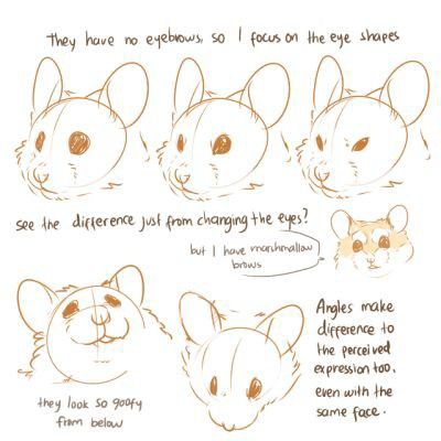 the image is a drawing tutorial on how to draw hamster faces with different expressions. the tutorial focuses on changing the shape and angle of the eyes to achieve different looks.