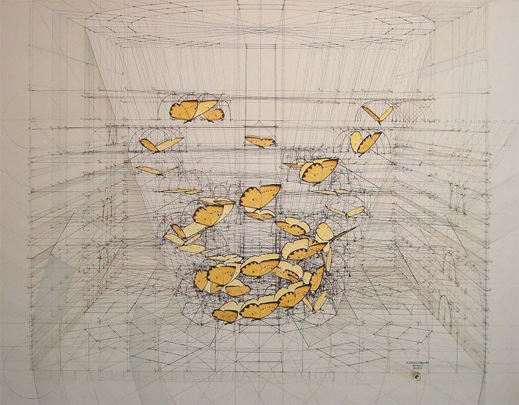 this abstract piece of art is made up of a geometric drawing of lines that form a grid. the lines create a pattern of squares and rectangles. there are many butterflies that are arranged in a way that makes them look like they are flying around in a threedimensional space. the butterflies are all facing the same direction. the drawing is made on a white background.