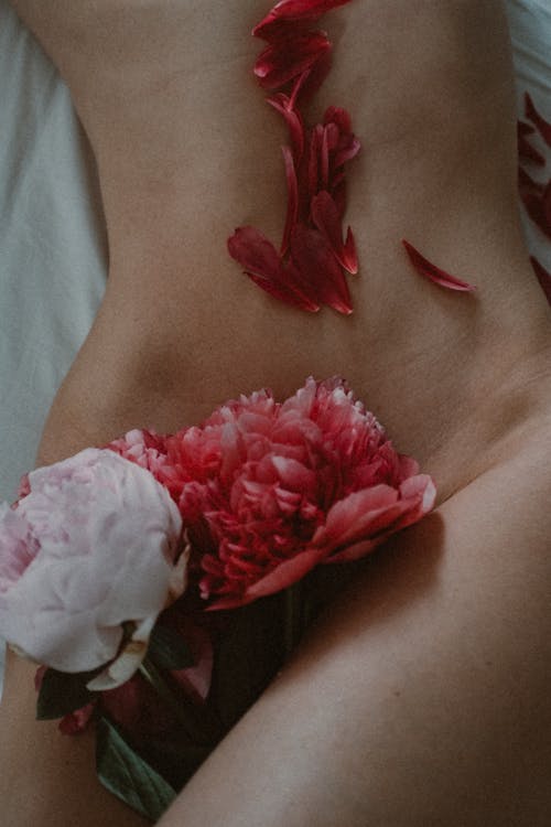 the image shows a closeup view of a woman's lower abdomen and upper thighs.  she is lying on a white surface.  her pubic area is partially obscured by a cluster of pink and red peony blossoms.  loose petals from the same flowers are scattered on her abdomen. the overall mood is sensual and artistic, emphasizing the beauty of the female form and the contrast between skin and flowers. the lighting and focus are soft and create a serene atmosphere.