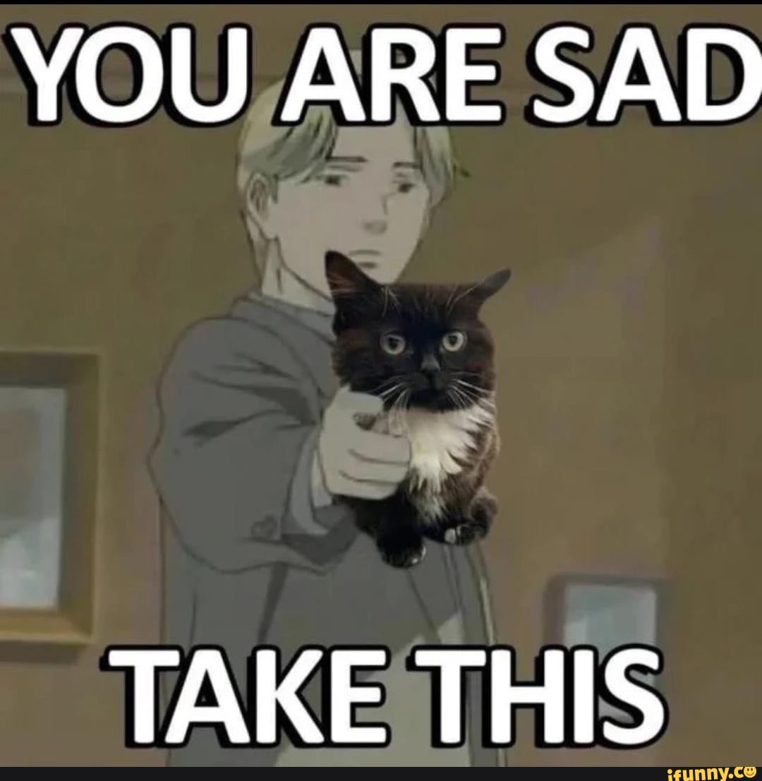 the image is a meme featuring an anime character holding a gun towards the camera. there is a black and white cat superimposed in front of the gun. the text “you are sad” is at the top of the image and "take this" is at the bottom. the meme implies that the cat is a solution to sadness.
