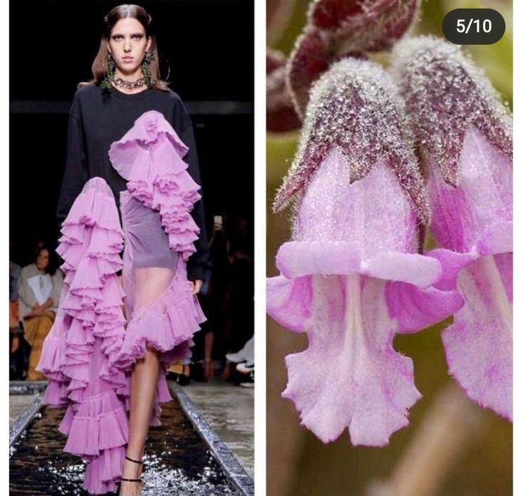 the image is a split image. on the left side, a fashion model is walking the runway in a pink ruffled dress, and on the right side, there are two pink delicate flowers. the flower on the right is in focus.  the model's dress is made of layers of ruffles, creating a voluminous and dramatic silhouette. the flowers have a similar texture and delicate design as the dress. both the dress and the flowers are very delicate and feminine.