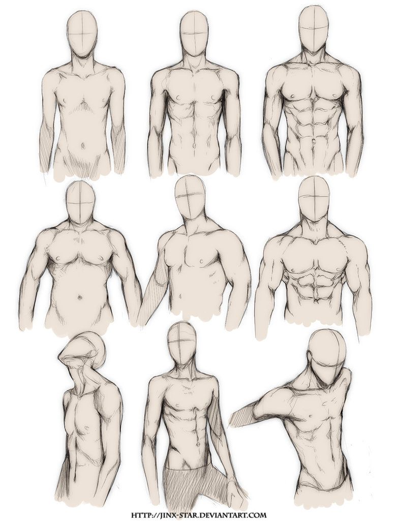 the image displays a collection of nine detailed anatomical sketches of the male torso, focusing on musculature and posing. rendered in a monochrome palette, the drawings offer various perspectives and levels of muscle definition, serving as valuable references for artists. each figure is depicted from the waist up, with the head represented by an oval placeholder, emphasizing the torso as the primary subject.
