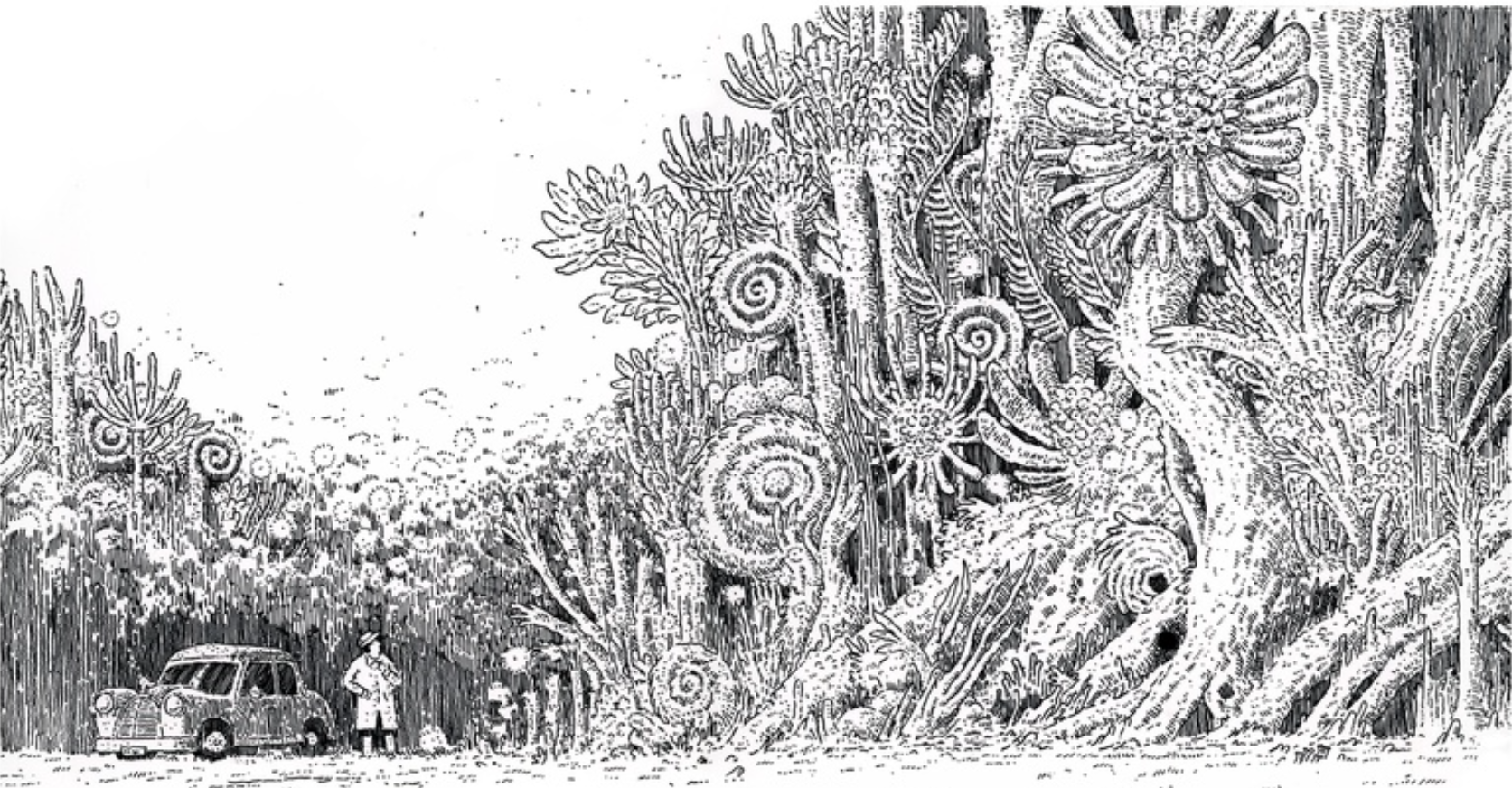 a highly detailed black and white illustration depicts a man in a hat standing next to a small car at the edge of an otherworldly forest. the forest is filled with giant, surreal ferns and plants with spiral patterns. the illustration is done in a style reminiscent of intricate ink drawings, with a strong emphasis on detail and texture. the setting evokes a sense of speculative or science fiction, with its strange and fantastical flora.