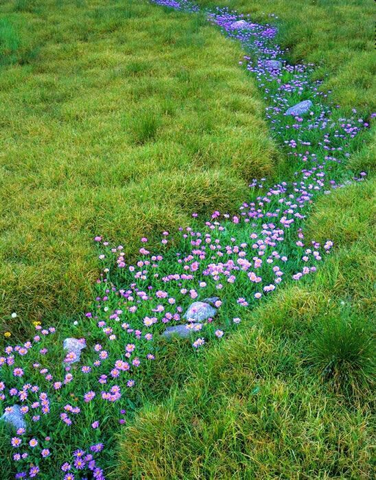 the image shows a meadow or field with lush green grass. a winding path or trail meanders through the grass, marked by the presence of many small purple flowers and several scattered gray stones. the scene conveys a sense of tranquility, nature, and a rural summer landscape.