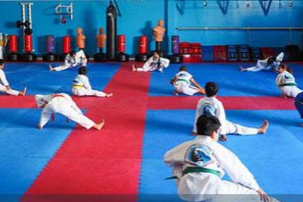 a group of young children are practicing taekwondo in a gym. they are wearing white uniforms and black belts. they are kicking, punching, and blocking each other. they are all focused on their training. the gym has blue and red mats on the floor.