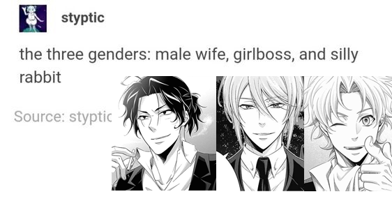 this image is a meme about the "three genders." the meme features three anime characters: a male character with a feminine appearance who is labeled as a "male wife," a female character who is labeled as a "girlboss," and a male character with a more silly appearance who is labeled as a "silly rabbit." the meme is humorous and plays on gender stereotypes.