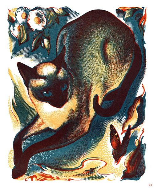 a vibrant and detailed vintage illustration of a siamese cat. the cat is depicted in a dynamic pose, with its body curving gracefully. it's rendered in a style reminiscent of woodblock printing or linocut, with bold colors and strong lines. the background features stylized flowers and butterflies, adding to the artwork's whimsical and decorative nature. the color palette is rich and varied, with shades of teal, gold, maroon, and cream dominating. the image suggests a vintage aesthetic, possibly from the mid20th century, making it a striking and sophisticated piece of art.