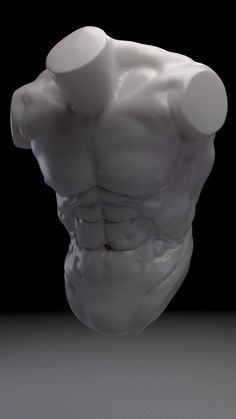 a 3d model of a muscular male torso, sculpted in a white material. the model is lit with studio lighting, highlighting the musculature and form.