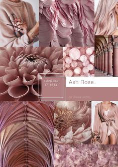 this image is a color inspiration board with a theme of "ash rose" as the pantone color of the year 2019. the image features different shades of pink and rose colors in different textures and styles, including a flower, fabric, abstract patterns, and architectural elements. the board is arranged in a collage format, with each element representing a different aspect of the color ash rose.