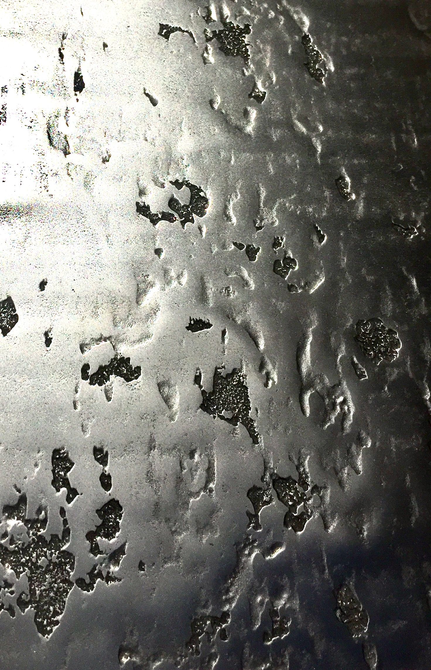 the image shows a closeup view of a textured metal surface. the surface is predominantly silver and gray in color, with a rough, uneven appearance. there are numerous pits, scratches, and other imperfections visible, creating an abstract and industrial aesthetic.
