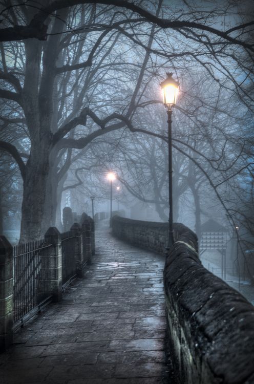 a cobblestone pathway is lined with stone walls and wrought iron fences. a lamp post illuminates the path, which is shrouded in fog. the path leads through a park with bare trees. the scene is dark and moody.
