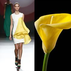 this is a fashion photography image with two images side by side. the left side of the image shows a fashion model in a beautiful, stylish, white and yellow dress. she's posing for the camera,  looking confident and elegant. the right side of the image is a closeup of a yellow calla lily flower, which is the same color as the dress. the two images are juxtaposed against each other, creating a striking visual effect. the background of the image is black on the right and white on the left. the fashion model is the focus of the image, and the flower is a subtle detail that complements the overall look. the image conveys a sense of sophistication and beauty.