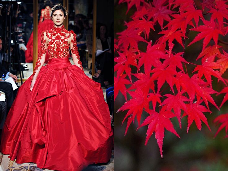 this image features a split view. the left side shows a woman in a red dress, with a lace overlay, posed on a runway. she is looking directly at the camera. the right side of the image is a closeup of a tree's branches with red leaves.