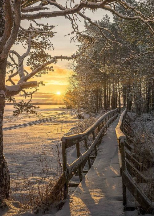 a serene winter landscape featuring a wooden bridge covered in snow, leading into a forest bathed in the warm light of either sunrise or sunset. the sun's rays shine across a frozen lake, creating a picturesque and tranquil scene. the foreground includes snowcovered trees and a wooden railing, adding depth and dimension to the composition.