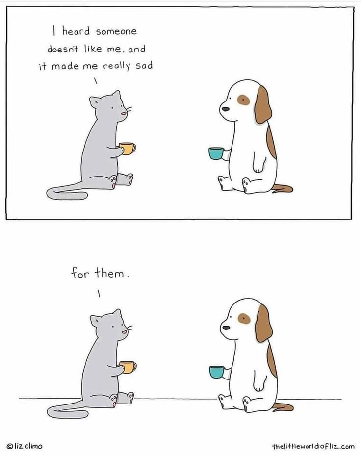 the image shows a twopanel cartoon by liz climo. in the first panel, a gray cat and a white and brown dog are sitting facing each other, each holding a teacup. the cat says, "i heard someone doesn't like me, and it made me really sad." in the second panel, the cat says, "for them." it's a humorous take on dealing with negativity.