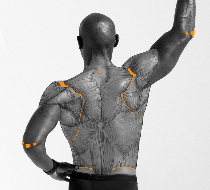 a black and white photo of a muscular man's back with his arm raised. the image highlights the intricate network of muscles, outlined for anatomical study. he is positioned against a simple white background, emphasizing his physique.  the use of grayscale enhances the focus on muscle definition, with orange dots marking specific points on his back and arm.
