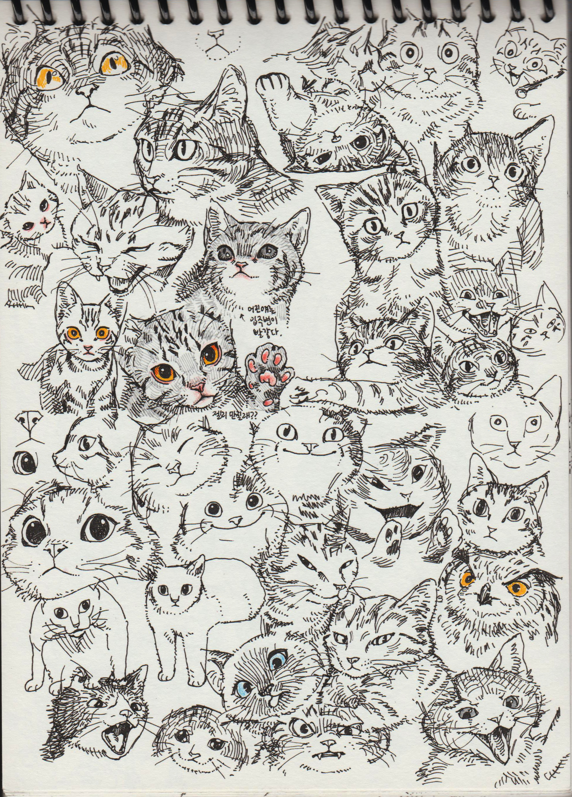 a doodle of many cats in various poses and expressions drawn in black pen on white paper.  each cat has detailed markings and some have unique markings and details.  the cats are arranged in a chaotic pattern with their bodies and tails intertwined.  there are many different sizes and shapes of cats.  the drawing is whimsical and playful with a lot of personality.