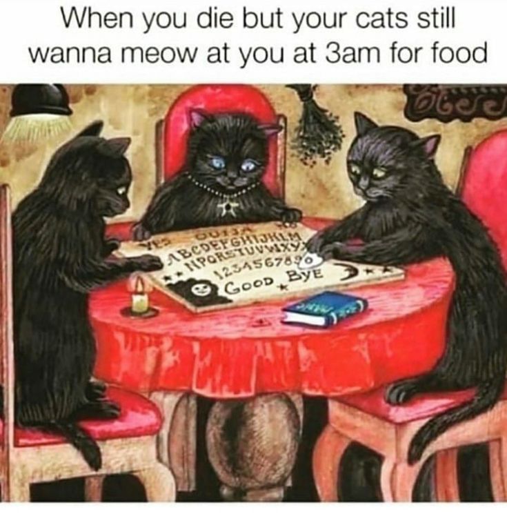 the image is a humorous meme featuring a painting of three black cats gathered around a round table with a red tablecloth, appearing to use an ouija board. a small candle and a blue book are also on the table. the central cat wears a necklace with a pendant. above the image is the text "when you die but your cats still wanna meow at you at 3am for food," adding a comedic element by suggesting the cats are attempting to contact the deceased owner for food. the ouija board has letters, numbers, and the words "yes", "no", and "good bye" written on it.