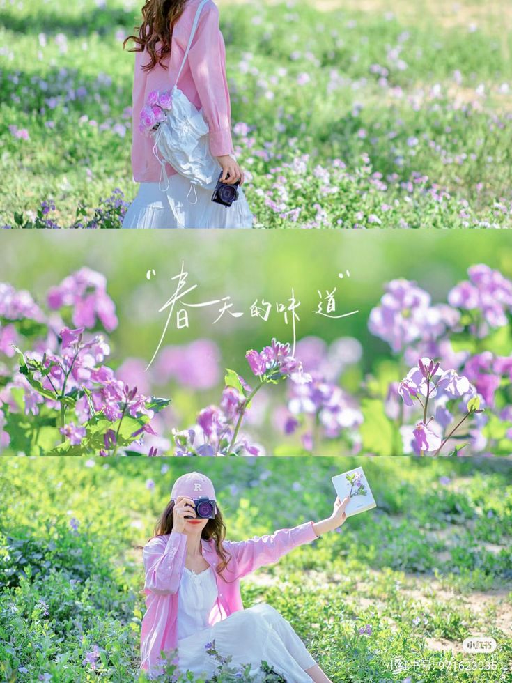 the image is a collage featuring a young woman in a pastel pink cardigan and white dress in a field of vibrant purple flowers.  the top panel shows her walking through the flowers, carrying a camera and a small white bag. the middle panel is a closeup of the flowers with the japanese text "春日里的散歩" (meaning "spring day stroll") elegantly written over the image. the bottom panel shows the same woman sitting in the flower field, holding a camera to her eye and a small book in her other hand. the overall mood is serene, peaceful, and romantic, evoking a feeling of springtime and the joy of being in nature. the woman appears to be enjoying photography amidst the blossoming flowers.