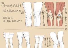 this image is a tutorial on how to draw legs with a focus on adding dimension and realism. the top section showcases the anatomy of a knee joint with detailed muscle structures. below, several sketches depict legs in various poses, emphasizing the contours and lines that create a threedimensional effect. the text, written in japanese, likely provides instructions and tips for aspiring artists.