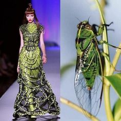 the image is a split image. the left half shows a fashion model on a runway, wearing a green, sequined dress that resembles the shell of a cicada. the right half shows a green cicada with translucent wings, perched on a plant stem. the image is a juxtaposition of nature and fashion, highlighting the intricate beauty and detail found in both. the model's dress is a creative interpretation of the cicada's exoskeleton, showcasing the designer's ability to translate natural elements into high fashion.
