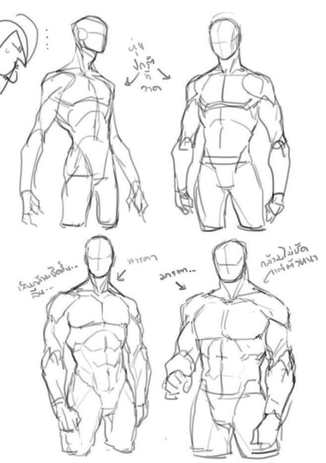 the image contains several pencil sketches of male figures, focusing on variations in muscular definition and pose. the drawings range from simpler, more schematic representations of the torso and limbs to more detailed depictions of muscle structure.  some sketches show a full figure, others just the torso.  there are annotations in what appears to be thai script near some of the figures, possibly indicating instructions or observations about the drawing process.  the style suggests an approach common in manga or anime art, focusing on stylized proportions and dynamic poses.