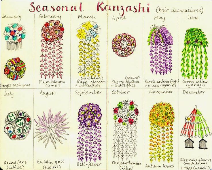 the image shows a visual guide to seasonal kanzashi, or japanese hair decorations. each month is represented by a different type of flower or seasonal element: january features a colorful floral design, february showcases plum blossoms, march presents rape blossoms with butterflies, april displays cherry blossoms with butterflies, may features purple wisteria and irises, june showcases green willow, july displays round fans, august features eulalia grass, september showcases bellflowers, october presents chrysanthemums, november features autumn leaves, and december showcases rice cake flowers with tags. the guide appears to be handdrawn.
