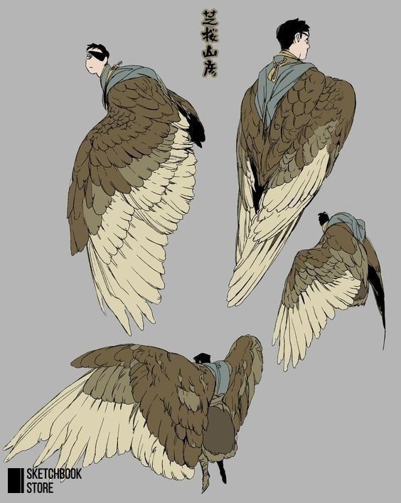 he image showcases a series of detailed illustrations of a character with large, feathered wings. the character's design is stylized, with the wings taking center stage.  the wings are primarily brown and beige, depicted from various angles including a side, back, and a view from above. the background is a simple, neutral grey.  the illustrations appear to be concept art for a character in a fantasy setting, possibly for animation or a game.  a watermark/logo  from sketchbook store is visible in the lower left corner.  there are also chinese characters in the topcenter.