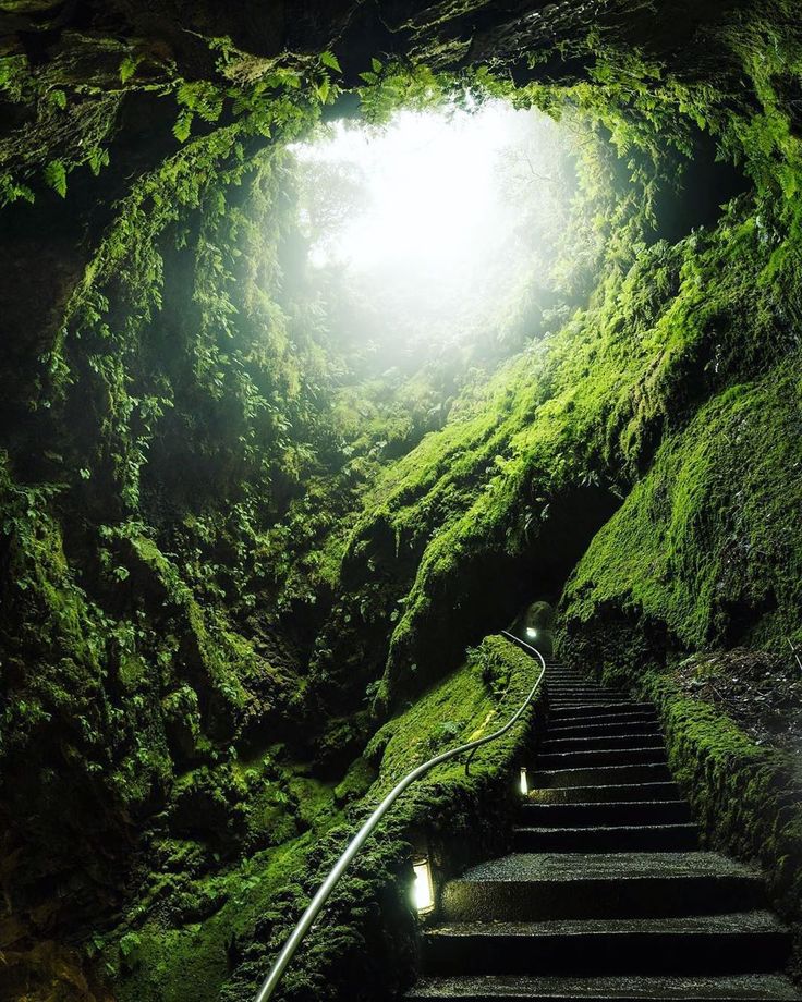 a set of stone steps leading up towards a bright light at the end of a dark, mossy cave.  the walls of the cave are covered in lush green foliage, creating a mysterious and enchanting atmosphere. the light at the end of the steps suggests hope, freedom, and a new beginning.