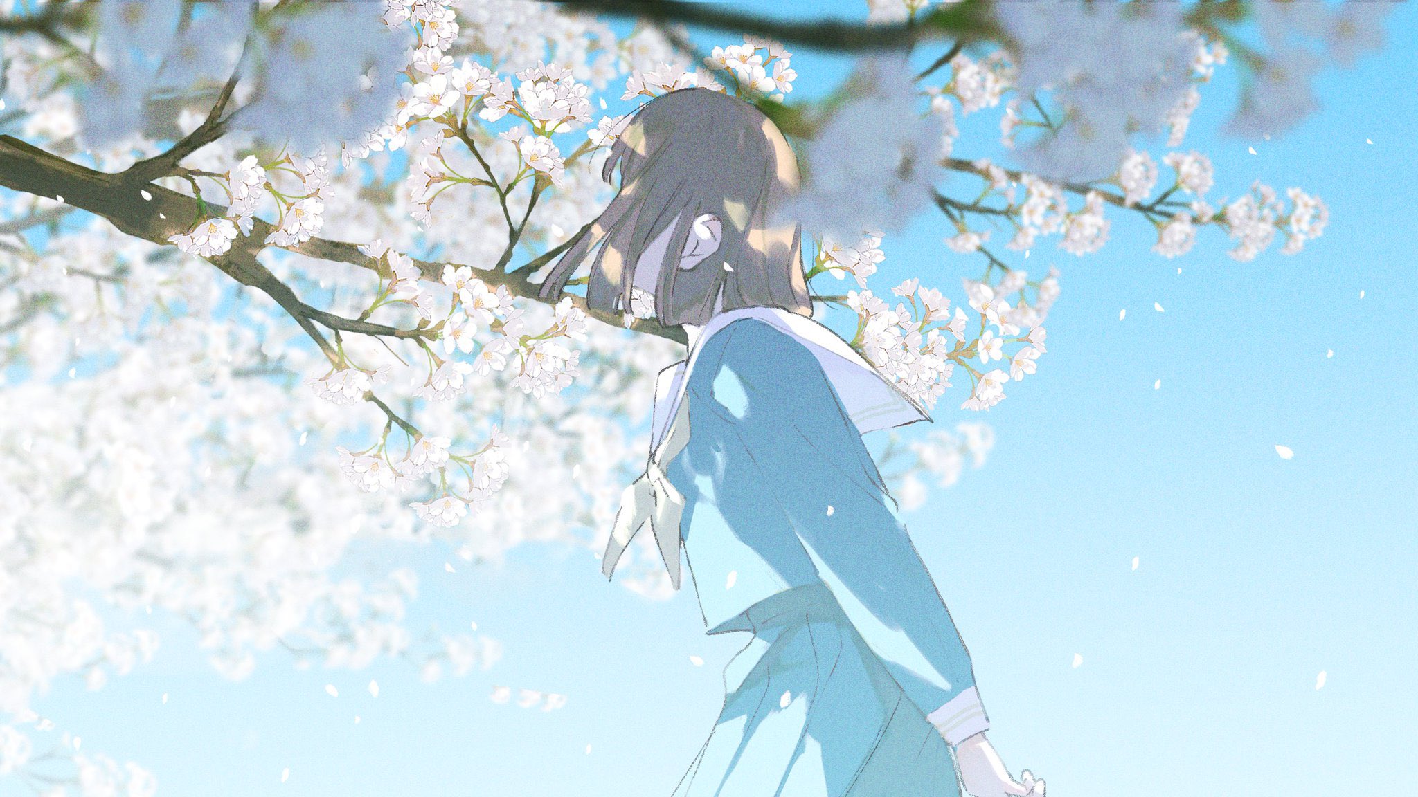 a young anime girl in a blue school uniform with a white sailor collar is walking amidst falling cherry blossom petals under a bright blue sky.  she is facing away from the viewer, her head slightly bowed, and appears to be enjoying the peaceful spring day. the cherry blossom branches and falling petals frame her figure, creating a serene and tranquil atmosphere.