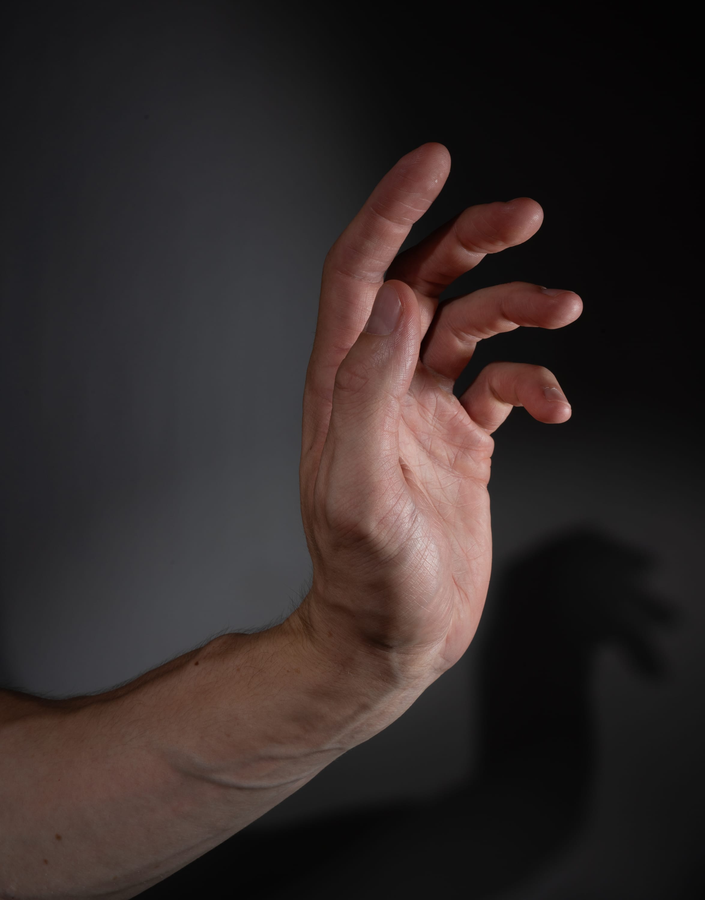 the image shows a man's hand and arm reaching upwards against a dark gray background.  a spotlight illuminates the hand and arm, creating a distinct shadow resembling a snarling wolf's head. the hand is partially curled, with fingers extended, as if reaching for something. the closeup perspective emphasizes the details of the hand, skin texture, and the dramatic contrast created by the lighting.