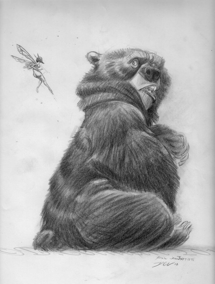 a pencil drawing shows a large, furry bear sitting and looking back over its shoulder with an uneasy or slightly surprised expression. a small fairy with delicate wings is flying near the bear, seemingly unnoticed. the drawing is rendered in detailed shading, giving depth to the bear's fur and features. the style suggests it could be concept art or an illustration from a fantasy story.