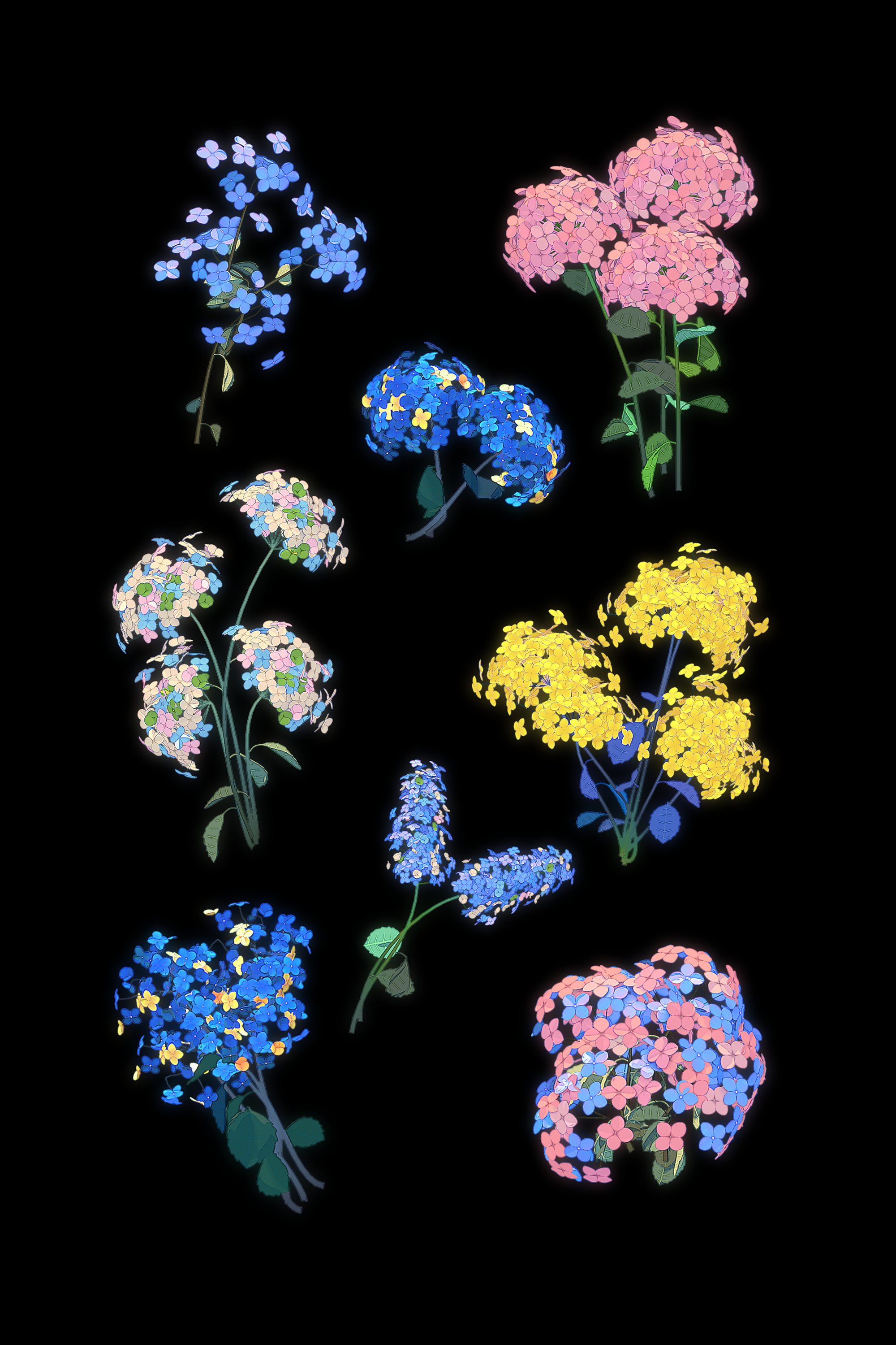 the image showcases a digital illustration of various bouquets of flowers on a stark black background. the flowers are rendered with a slightly pixelated or digital brushstroke effect.