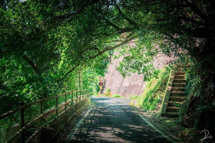 a photograph of a tranquil, secluded road winding through a lush green forest.  the road is paved and relatively narrow.  overhanging trees create a canopy of shade, and sunlight filters through the leaves.  to the right, a set of worn concrete stairs leads up the hillside, which is reinforced with a concrete retaining wall. a rustic wooden fence runs along the left side of the road. the overall atmosphere is peaceful and serene, suggesting a hidden or lesstraveled path in nature.