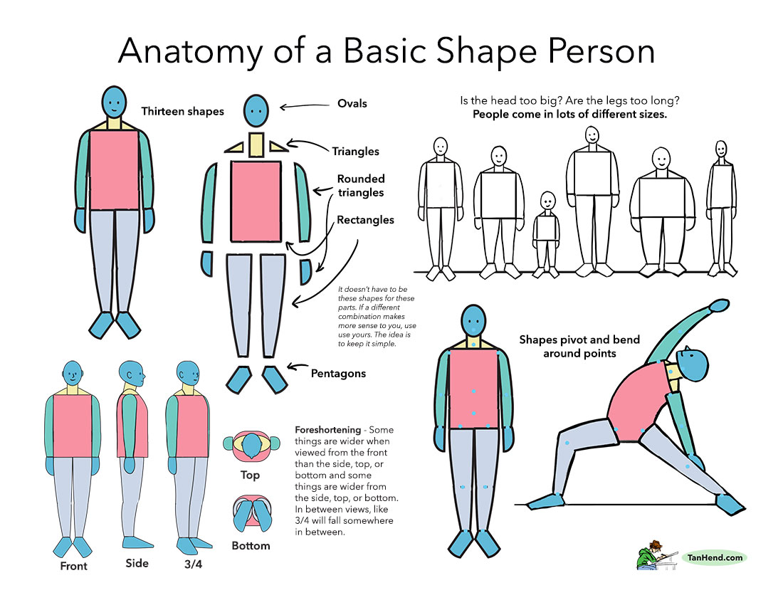 he image is an art tutorial illustrating the anatomy of a basic shape person.  it breaks down the human form into thirteen simple geometric shapes: ovals, triangles, rounded triangles, rectangles, and pentagons.  the tutorial explains how these shapes can be combined and manipulated to create different body proportions and poses, including demonstrating the concept of foreshortening and how shapes pivot and bend around joints.  several examples are given showcasing different views (front, side, 3/4 view) and sizes to emphasize the variability in human figures.  the overall style is clean and easy to follow, making it suitable for beginners in drawing and illustration.
