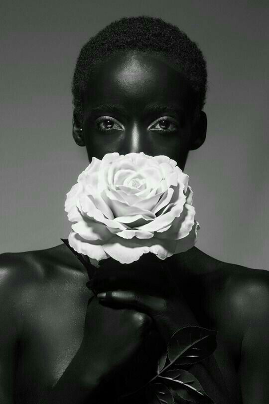 the image is a striking black and white portrait of a darkskinned woman.  she holds a large, lightcolored rose to her mouth, obscuring her lower face. the stark contrast between her dark skin and the pale rose, along with the monochromatic palette, creates a dramatic and visually arresting effect. the woman's expression is somewhat mysterious, and the overall mood is one of elegance and quiet intensity. the lighting and composition are carefully controlled, emphasizing the model's features and the texture of both the skin and the rose petals. the image has a strong artistic and possibly fashionoriented aesthetic.
