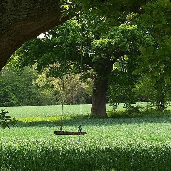 an empty wooden swing hangs from a large oak tree in a lush green field. the field stretches out into the distance, surrounded by trees. the scene is bathed in natural daylight, creating a peaceful and idyllic atmosphere.