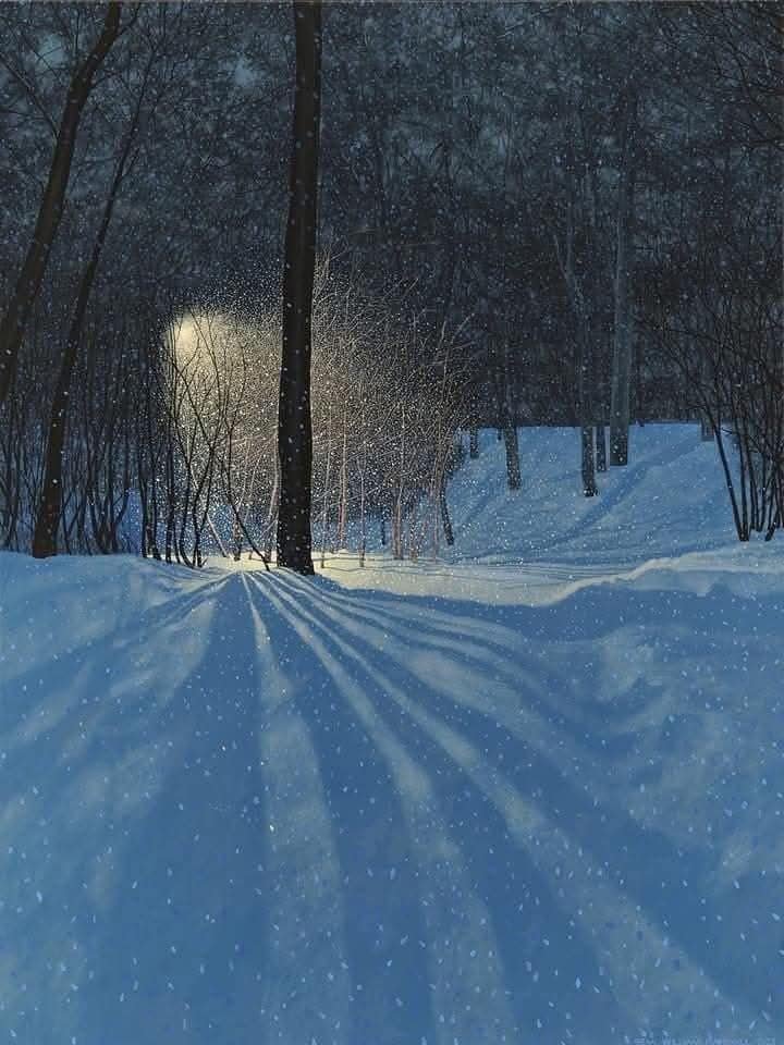 a winter forest landscape with snowcovered ground, trees casting long shadows, and sunlight filtering through the trees. a path leads into the woods. it is snowing.