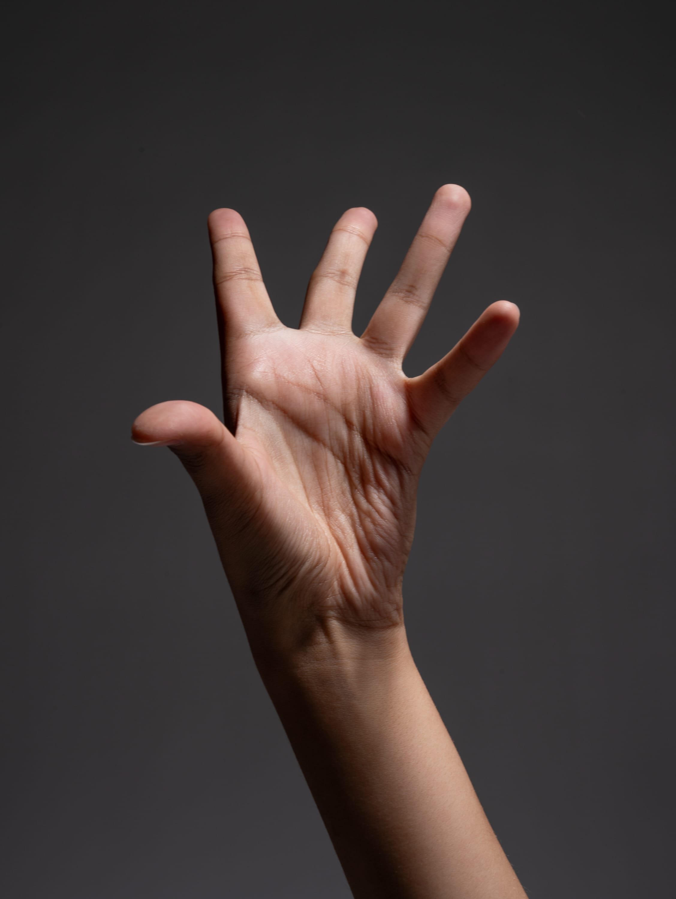 a closeup image of a hand with its fingers spread out against a gray background, illuminated by studio lighting. the image highlights the details of the hand's skin and the gesture's form.