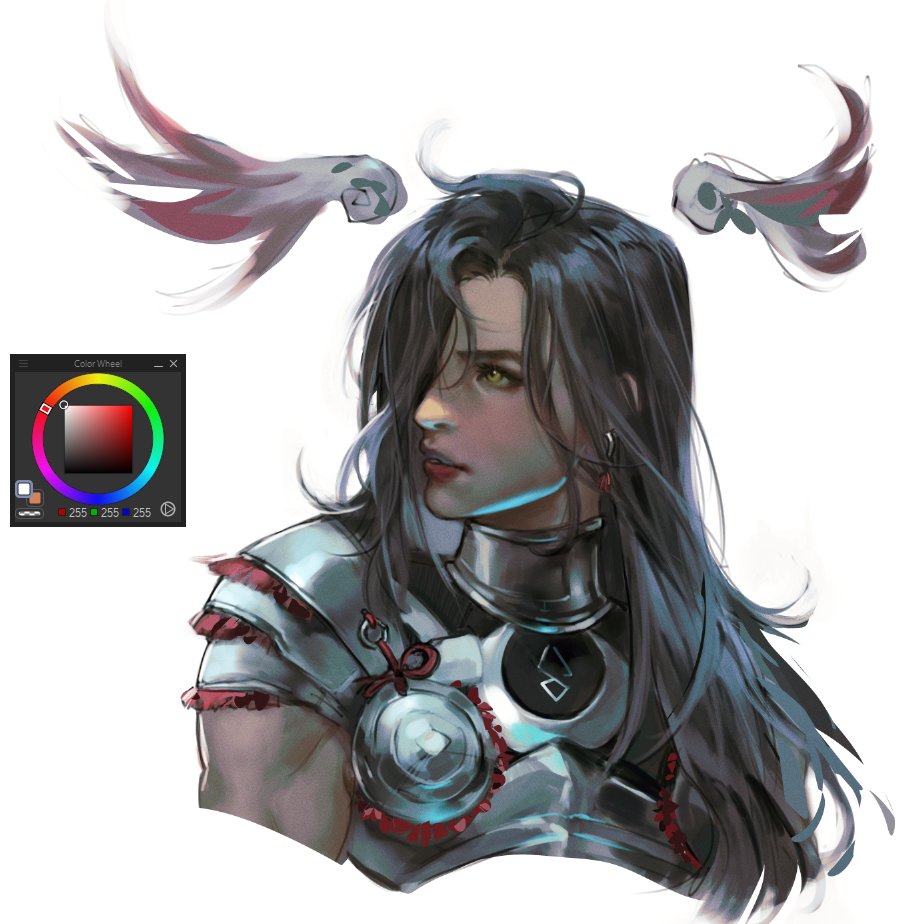 the image is a digital portrait of a fantasy warrior character. the character has long black hair, green eyes, and is wearing silver armor with red and white accents. there's a digital color wheel displayed in the upper left corner. the character has two objects floating above her head.