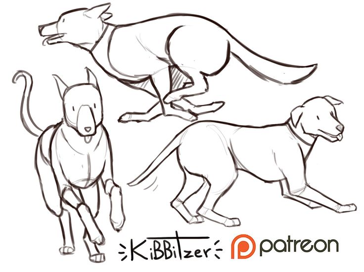 the image contains three line drawings of dogs in different poses.  one dog is depicted midstride, running; another is shown standing, potentially walking; and a third dog is lying down, also seemingly in motion.  the style is a loose, expressive sketch, emphasizing movement and gesture over fine detail. the drawings are in black ink on a white background. the artist's signature "kibbilzer" and a patreon logo are visible at the bottom.