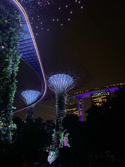 the image shows a nighttime view of the supertree grove at gardens by the bay in singapore.  the supertrees, tall vertical structures covered in vegetation, are illuminated in vibrant purple and blue hues. a curved, illuminated bridge stretches across the scene, connecting different parts of the grove.  in the background, the brightly lit marina bay sands hotel is visible. the overall atmosphere is futuristic and vibrant, showcasing the beauty of the architectural and botanical elements of gardens by the bay at night.