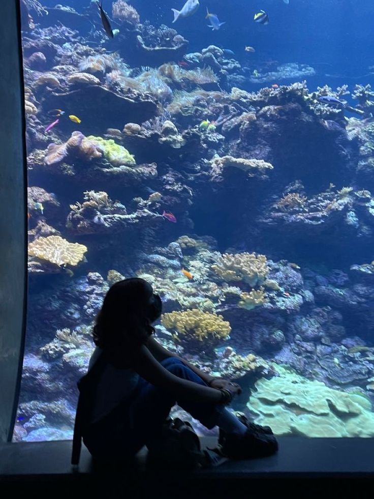 the image shows a silhouette of a girl sitting in front of a large aquarium tank. the tank is filled with a vibrant coral reef ecosystem, showcasing a variety of colorful fish and diverse coral formations. the girl appears to be engrossed in observing the underwater scene. the lighting highlights the contrast between the brightly lit aquarium and the dark silhouette of the girl, creating a dramatic and peaceful atmosphere.  the overall mood is one of quiet contemplation and wonder.