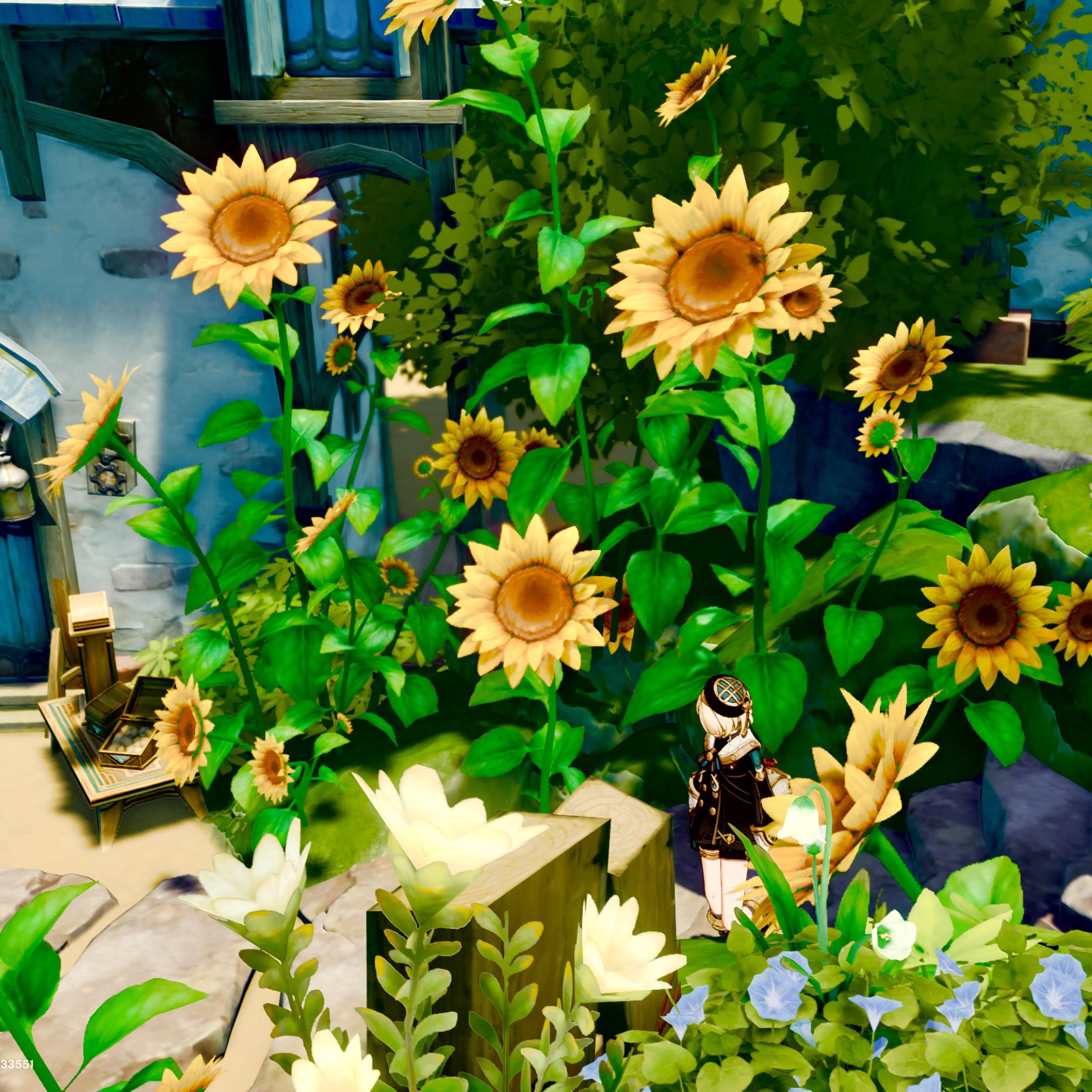 the image is a vibrant and colorful scene, likely from a video game, depicting a lush garden filled with numerous sunflowers of varying sizes.  the sunflowers are the dominant feature, with their bright yellow petals contrasting against the deep green foliage. other flowers including white and blue blooms are scattered throughout the garden.  a small, animestyle female character in dark clothing is partially visible, seated near a small wooden structure in the garden. the background includes a section of a light blue building with a wooden door and features a bright, sunny atmosphere.  the overall style is whimsical and fantastical.