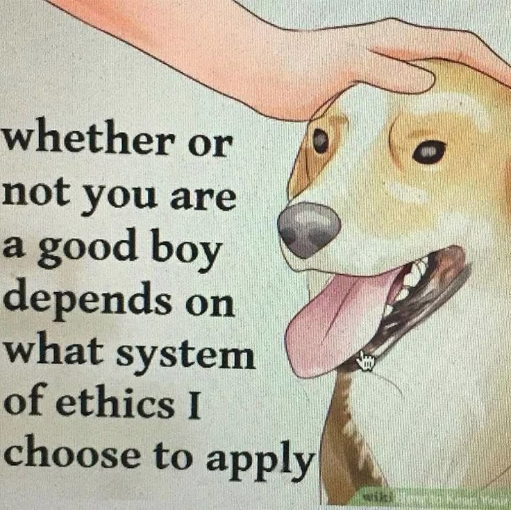 the image shows an illustration of a dog being petted by a hand, accompanied by text that says "whether or not you are a good boy depends on what system of ethics i choose to apply."