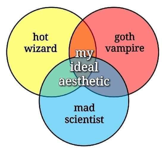 the image is a venn diagram with three overlapping circles. the circle on the left is yellow and labeled "hot wizard". the circle on the right is red and labeled "goth vampire". the bottom circle is blue and labeled "mad scientist". where all three circles overlap, there is text that reads "my ideal aesthetic".