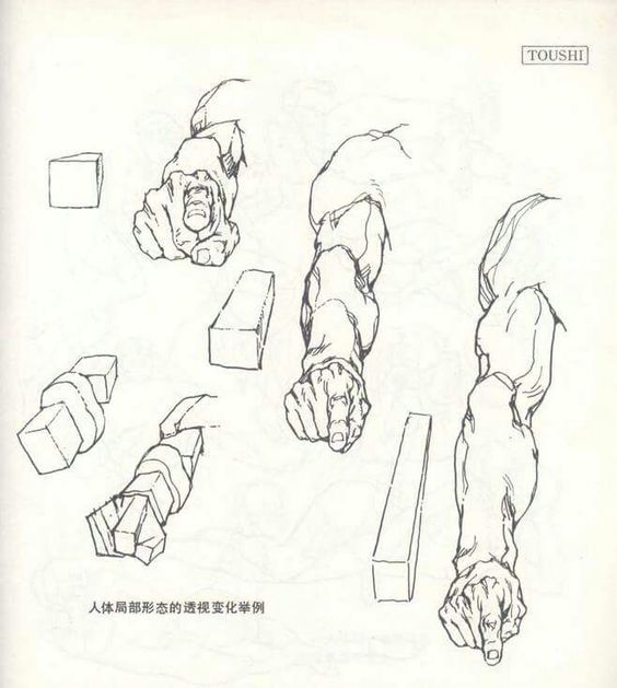 a black and white illustration of a person's upper arm and hand anatomy, drawing from a perspective of the arm is bent at the elbow and pointing towards the viewer with the forearm and hand fully extended.  the  arm is also partially covered by a set of muscle boxes and other anatomical drawing tools.  the image appears to be a study of anatomy.